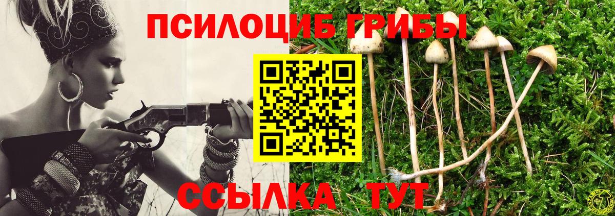 Елабуга  Галлюциногенные грибы Magic Shrooms  Вход с VPN  Псилоцибиновые грибы мухоморы 