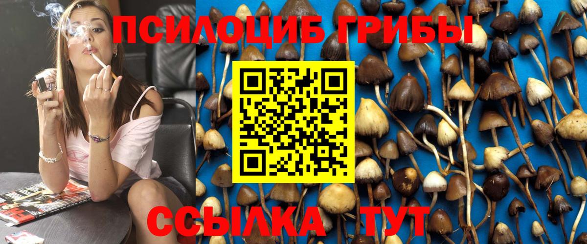 Псилоцибиновые грибы Psilocybine cubensis Елабуга